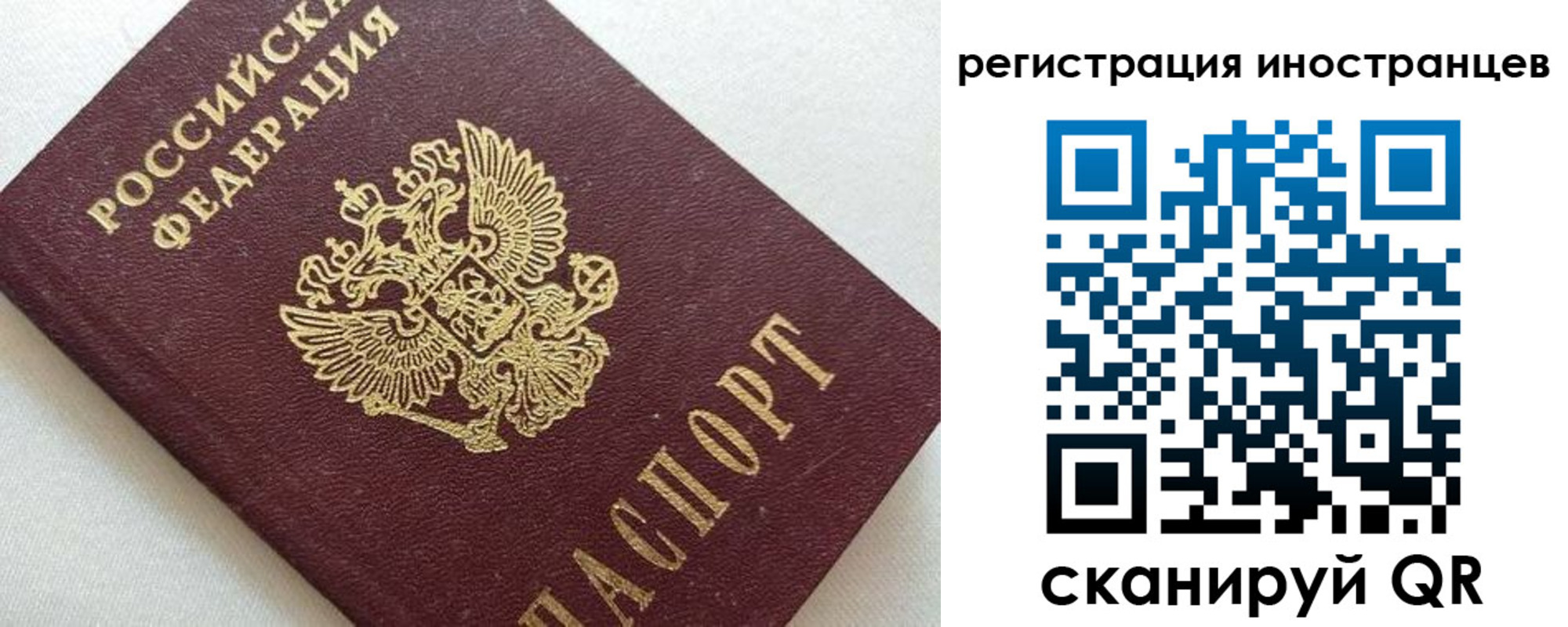 прописка в Жукове
